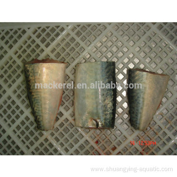 Frozen Fish Pacific Mackerel Hgt With Lowest Price